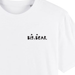 Load image into Gallery viewer, Baby Bear &amp; Big Bear T-Shirt Set
