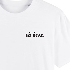 Baby Bear & Big Bear T-Shirt Set